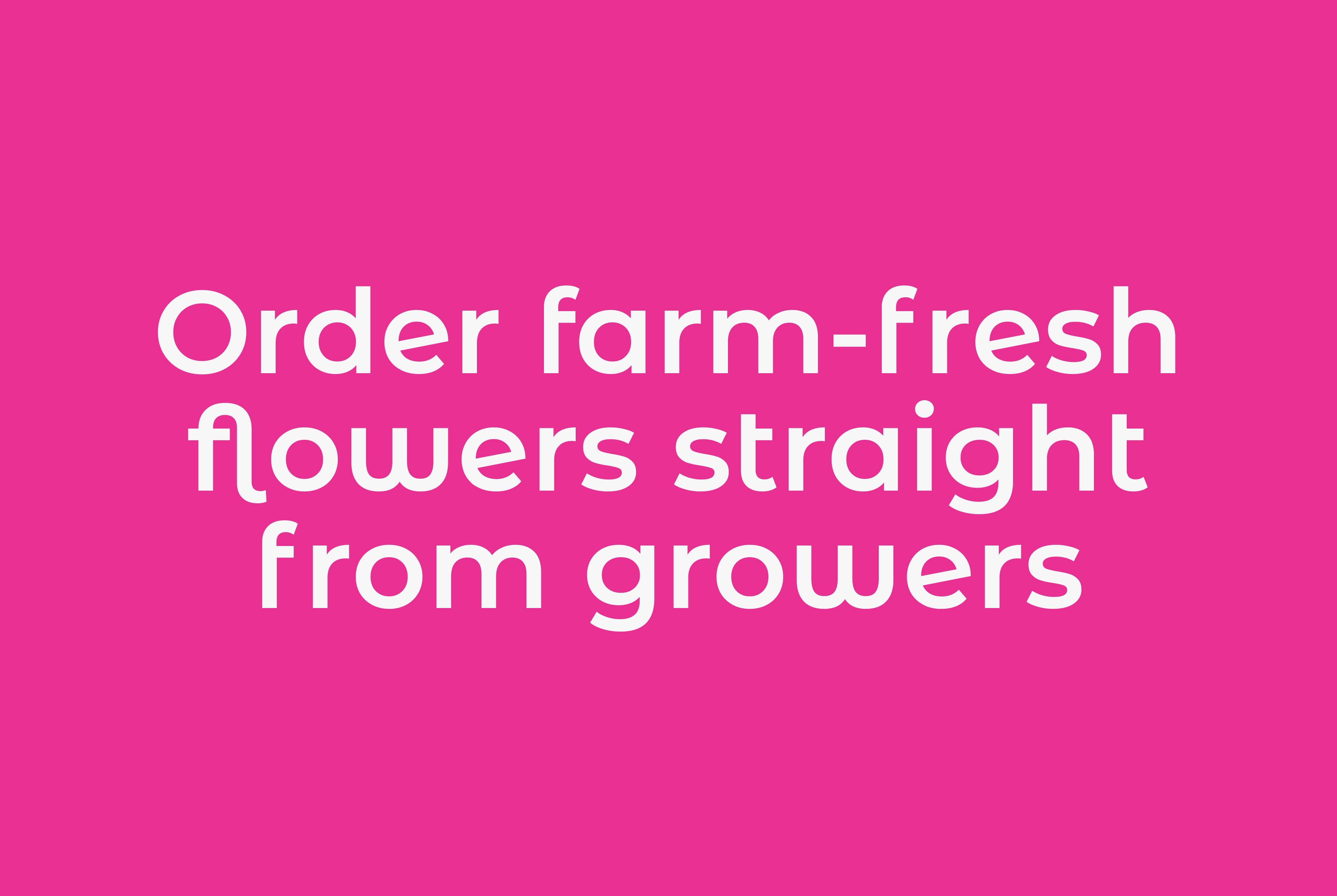 About us iBuyFlowers